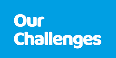 Our Challenges logo