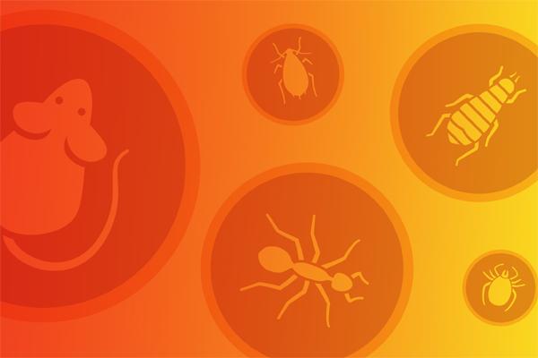 logos of pests