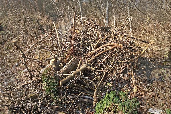 fly tipped garden waste