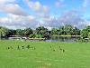 Saltwell Park