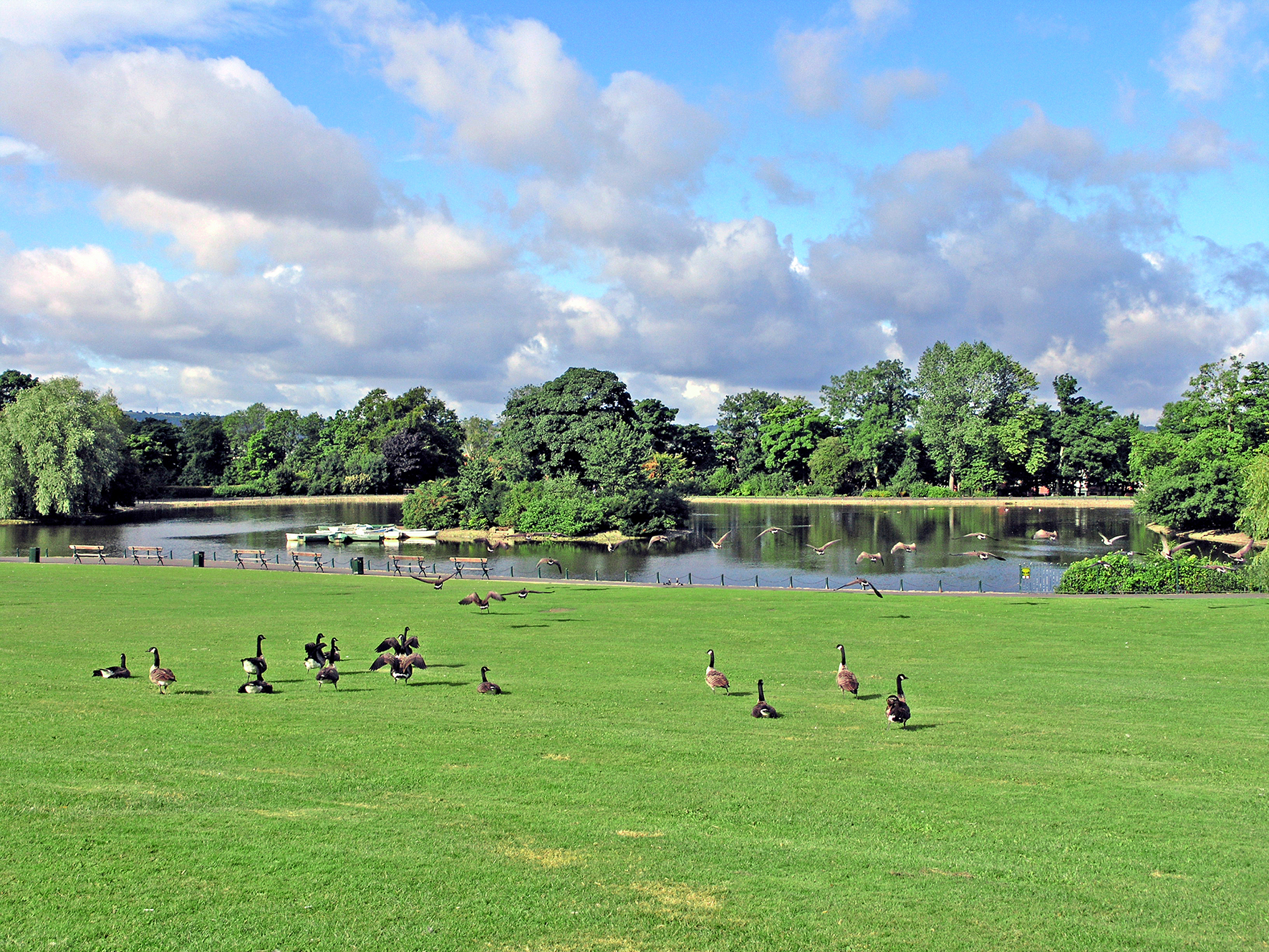 Saltwell Park Gateshead Council Variant1 