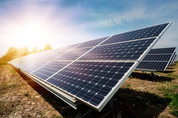 image of solar farm and sunlight