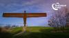 Gateshead Cares Angel 3