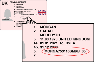 Driving licence example