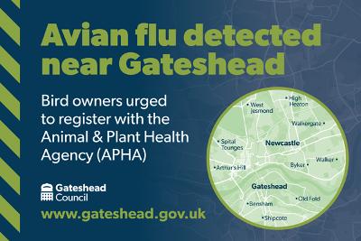 Avian flu detected Avian flu detected