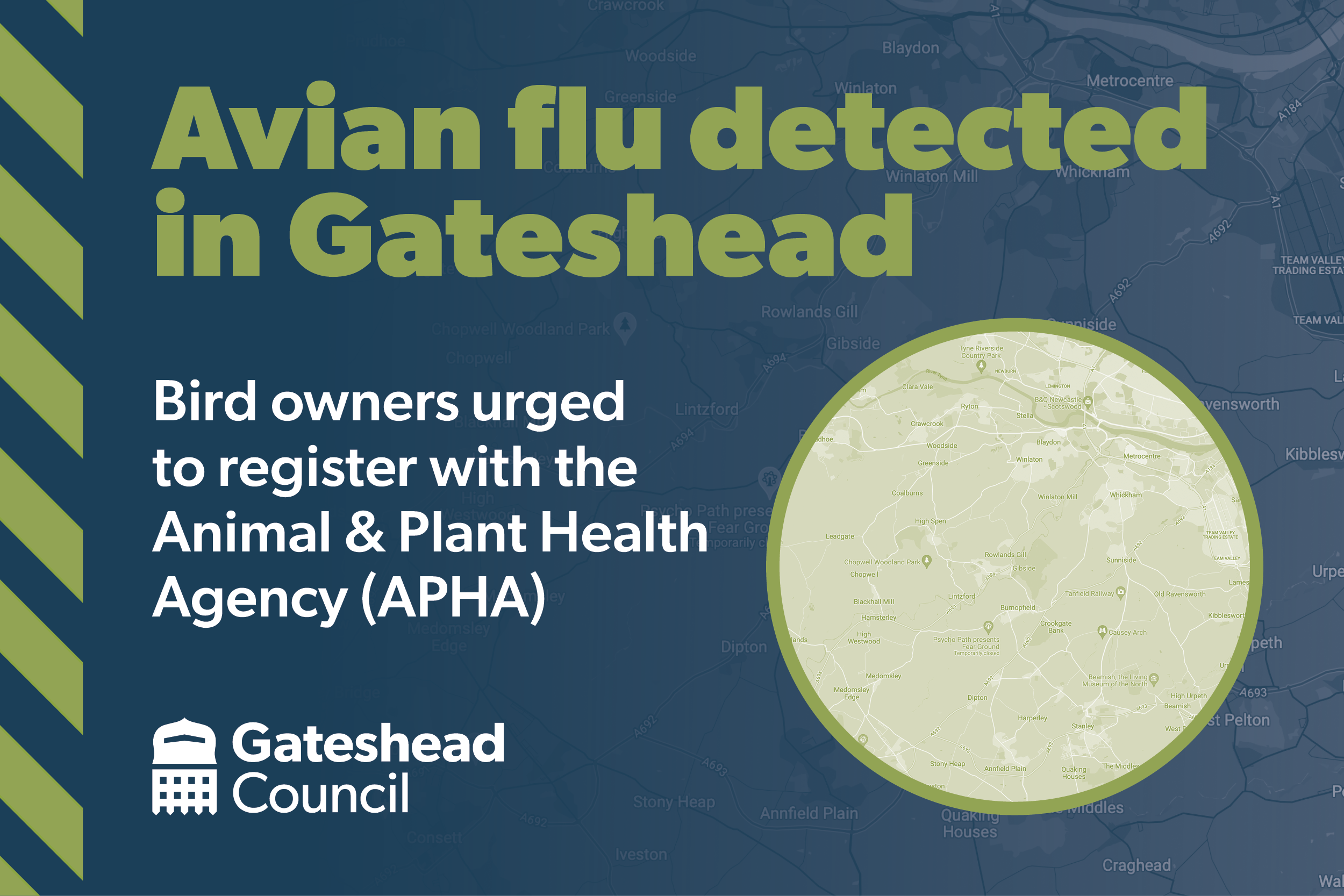 Avian flu - Rowland Gill