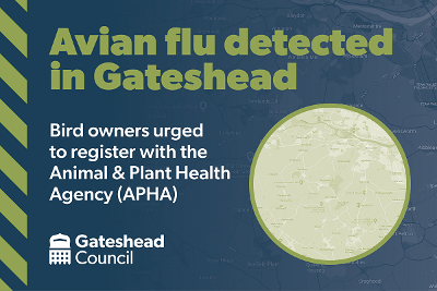 Avian flu - Rowland Gill