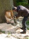 Local sculptor, Tommy Craggs
