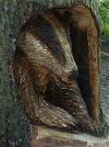 Badger carver