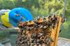a hive being held by a bee keeper 