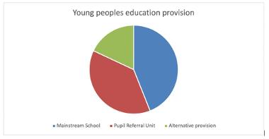 young peoples education provision pie chart 