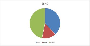 SEND data displayed as pie chart