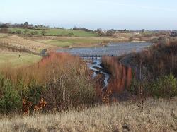 Watergate Forest Park