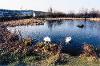 Dunston Pond