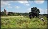 Lamesley Pastures