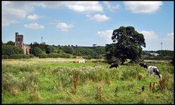 Lamesley Pastures