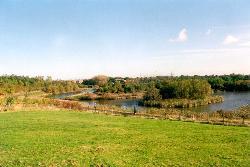 Pelaw Quarry Pond