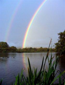 Shibdon Pond