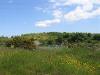 Stargate Ponds & Bewes Hills