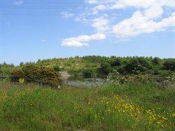 Stargate Ponds & Bewes Hills