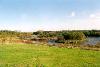 Pelaw Quarry Pond