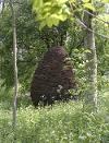 Cone