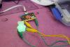 Coding light up teddy bear