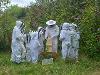 Beekeeping