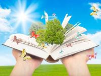 Image representing Book Butterflies Summer Party