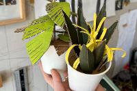 Image representing Riverside Routes: Staiths Art Club - Cardboard Plants with Lottie Smith 