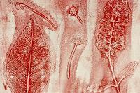 Image representing Riverside Routes: Staiths Art Club - Gelli Plate Printing with Nick Christie