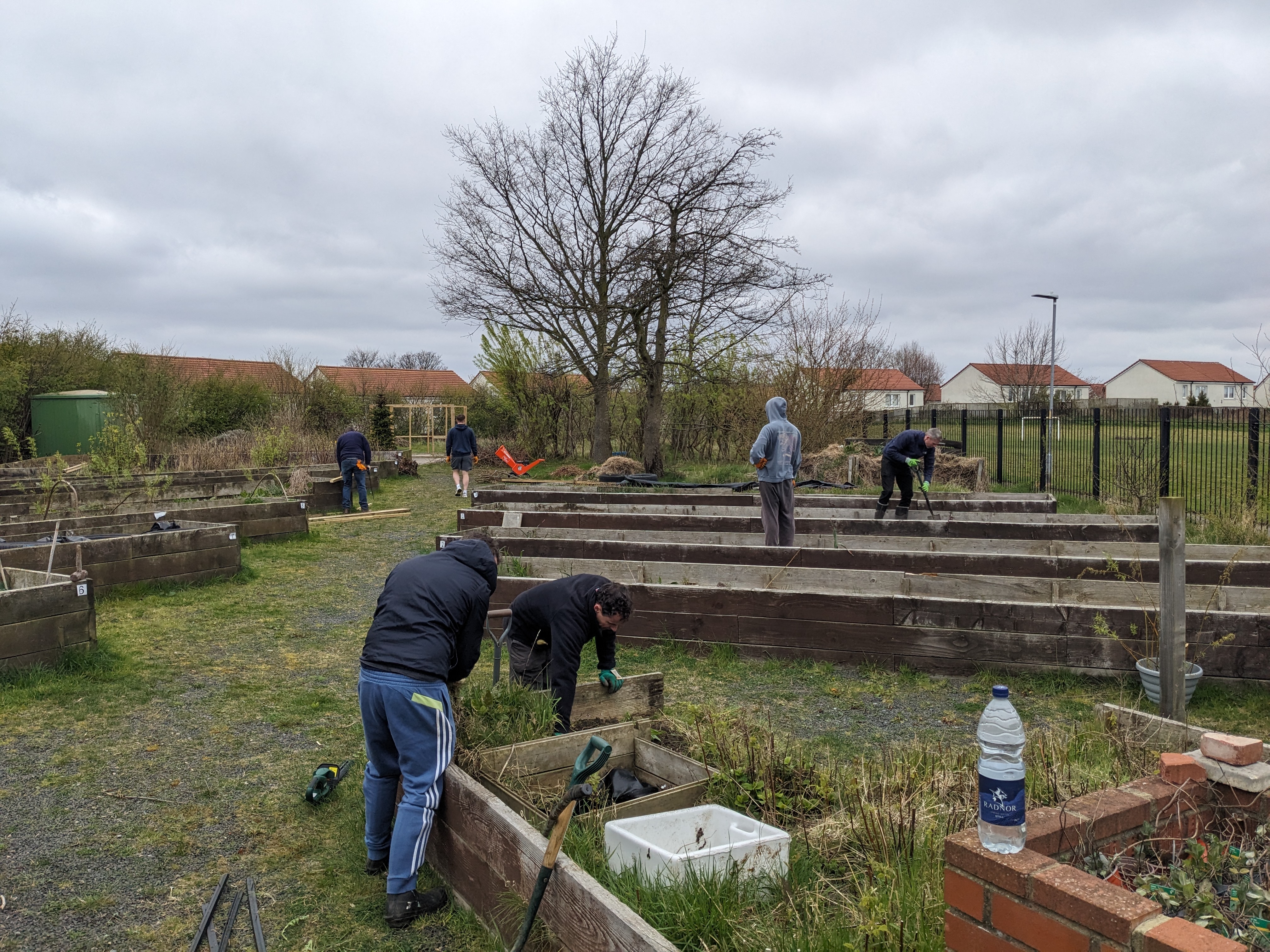 Nissan Volunteering 2