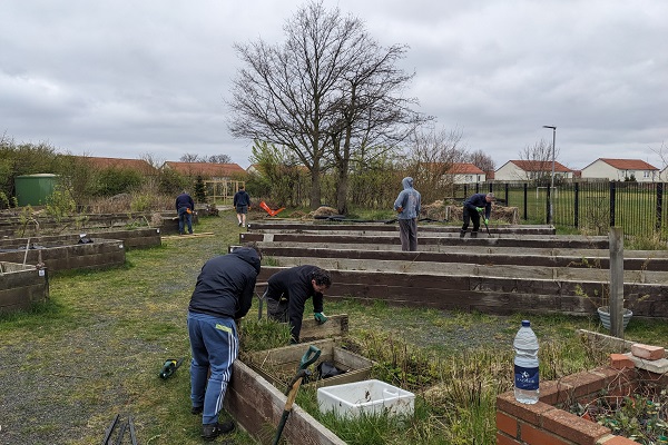 Nissan Volunteering 2