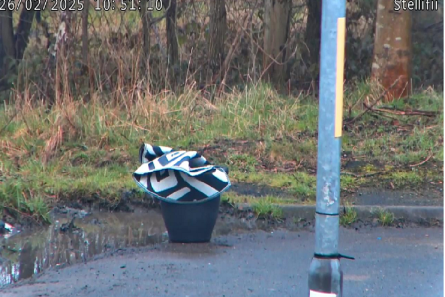 Mcdonaldflytip