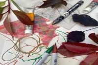 Image representing Art Diamonds: Play with Nature with Jane Young 