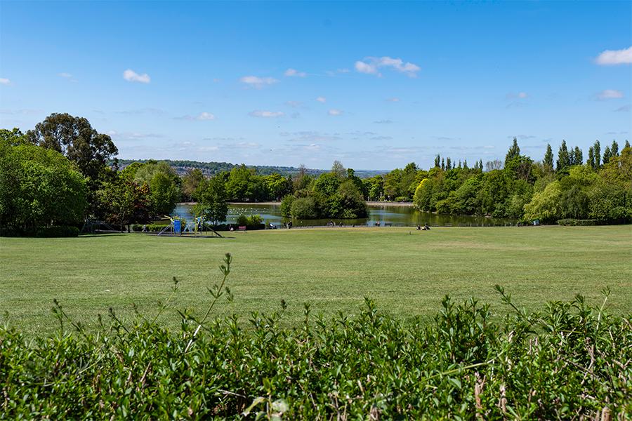 SALTWELL PARK 2025