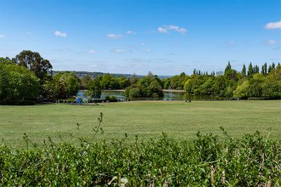 SALTWELL PARK 2025