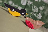 Image representing Big Garden Birdwatch