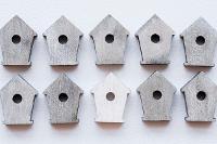 Image representing Build your own Bird Box