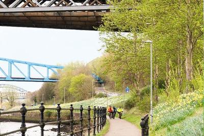 Tyne Derwent Way
