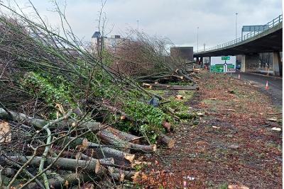 trees felled at flyover Dec 2025