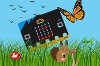 Image representing Great To Be Green Coding