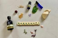 Image representing Emerald Explorers: Creative Wellbeing Workshop with Louise Rea 