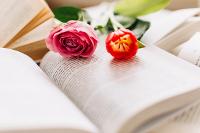 Image representing Poetry for Grief and Healing at Gateshead Central Library