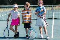 Image representing Derwent Park Family Tennis