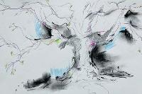 Image representing Emerald Explorers: Trees, Texture and Tone Drawing with Paul Merrick 