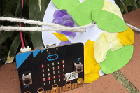 Image representing Code and Craft: Nature Spinner 