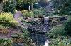 Saltwell Park dene