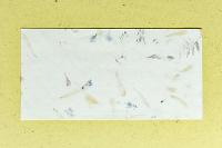 Image representing Wild Flower Paper Making