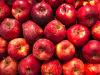 Apples